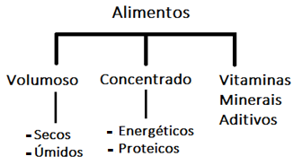 Classificação dos alimentos 