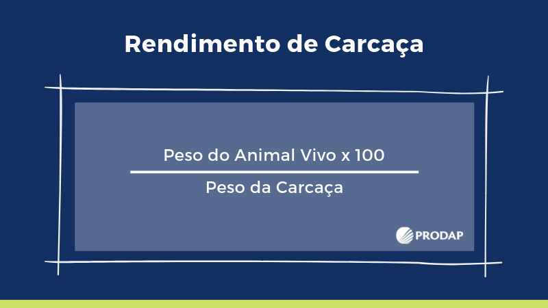 como calcular rendimento de carcaça