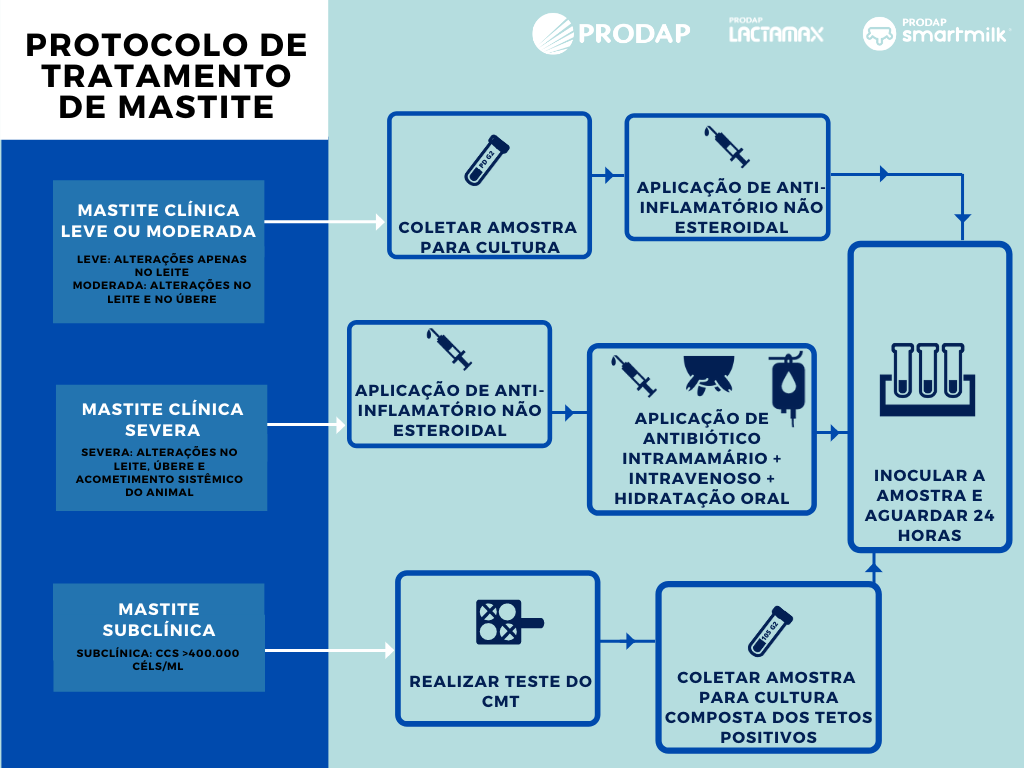 Protocolo de tratamento de mastite 