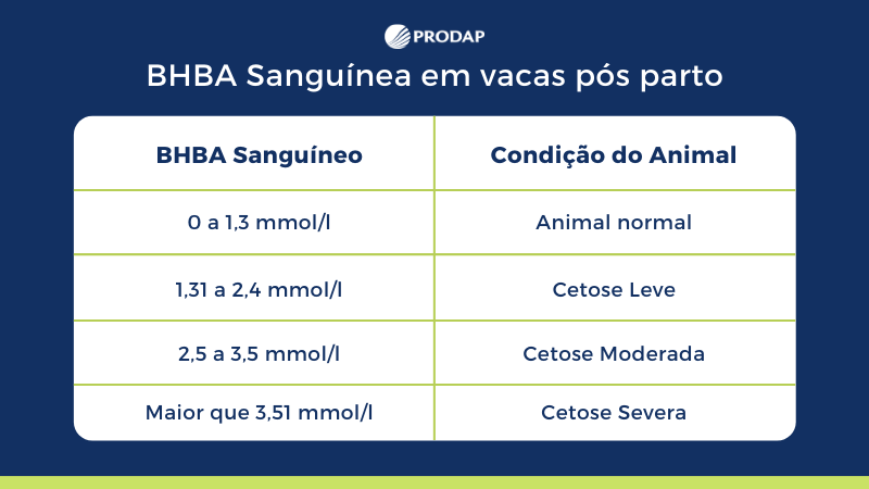 cetose em bovinos de leite pós parto