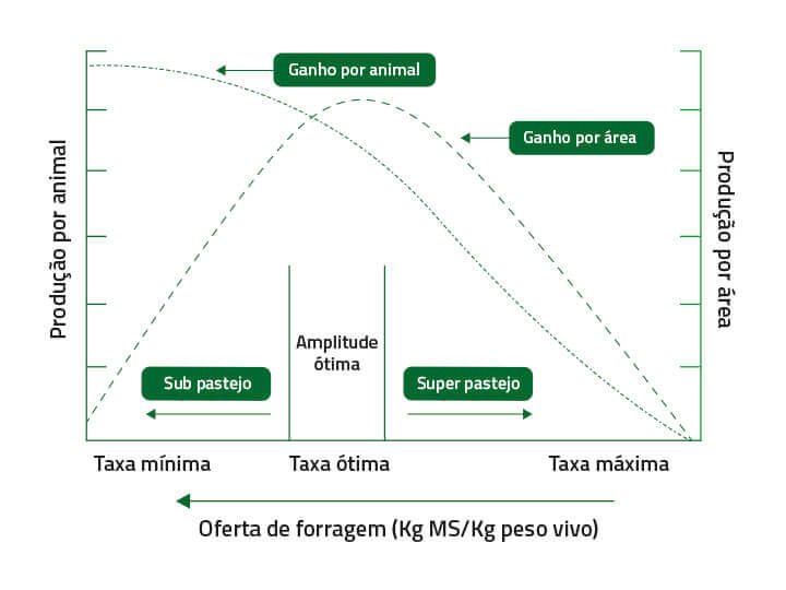 desempenho animal x capacidade de suporte