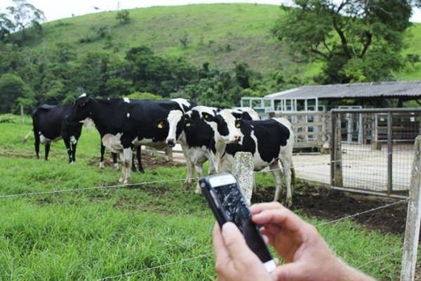 software de gestão de fazendas