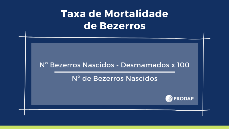 calcular mortalidade de bezerros