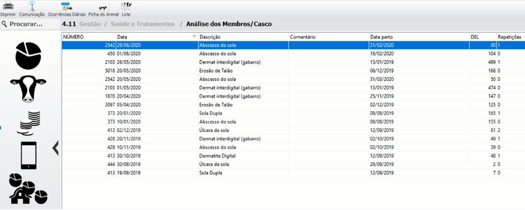 Análise dos membros/cascos em software de gestão