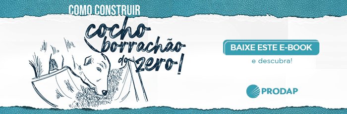 ebook cocho borrachão 