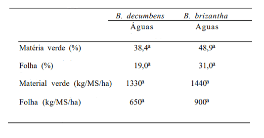 comparação entre capim marandu e decumbens