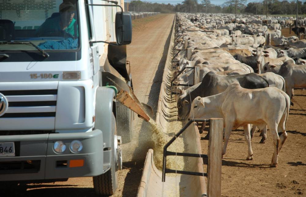 distribuição cocho