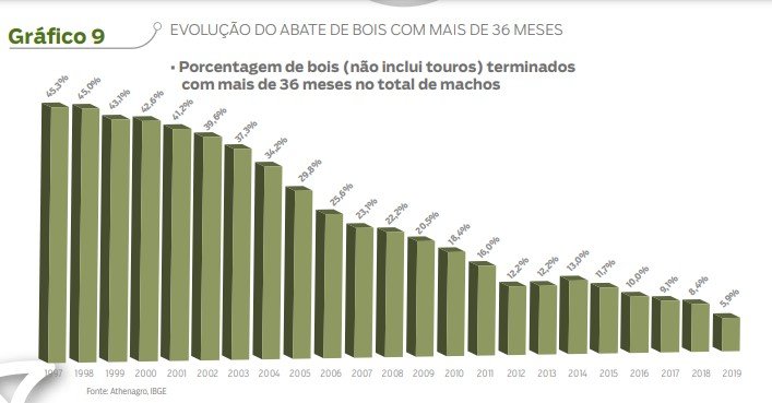 evolução abate de boi