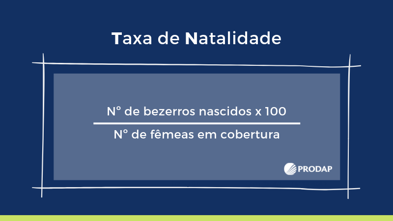 taxa de natalidade bovina