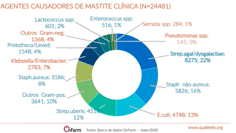 Mastite clinica