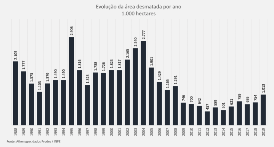 grafico desmatamento