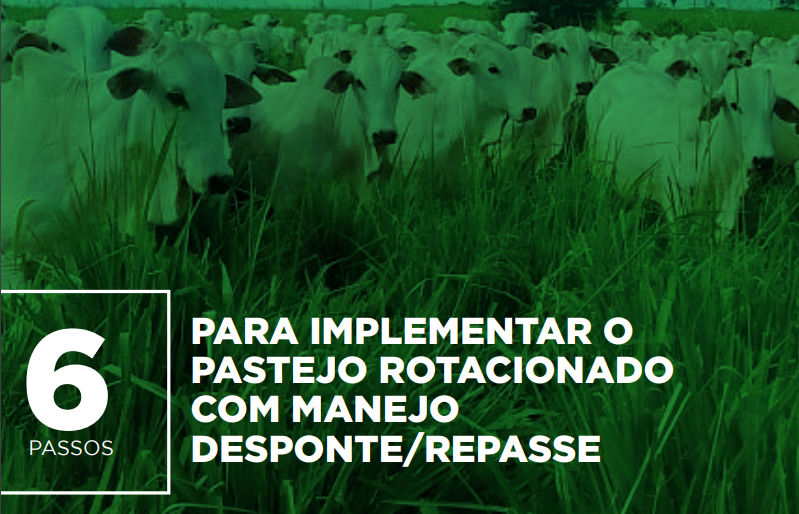 pastejo rotacionado de desponte e repasse