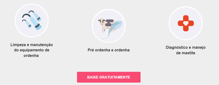 ordenha de vacas