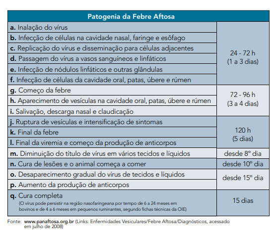 patogenia da febre aftosa