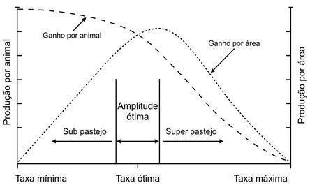 taxa de lotação