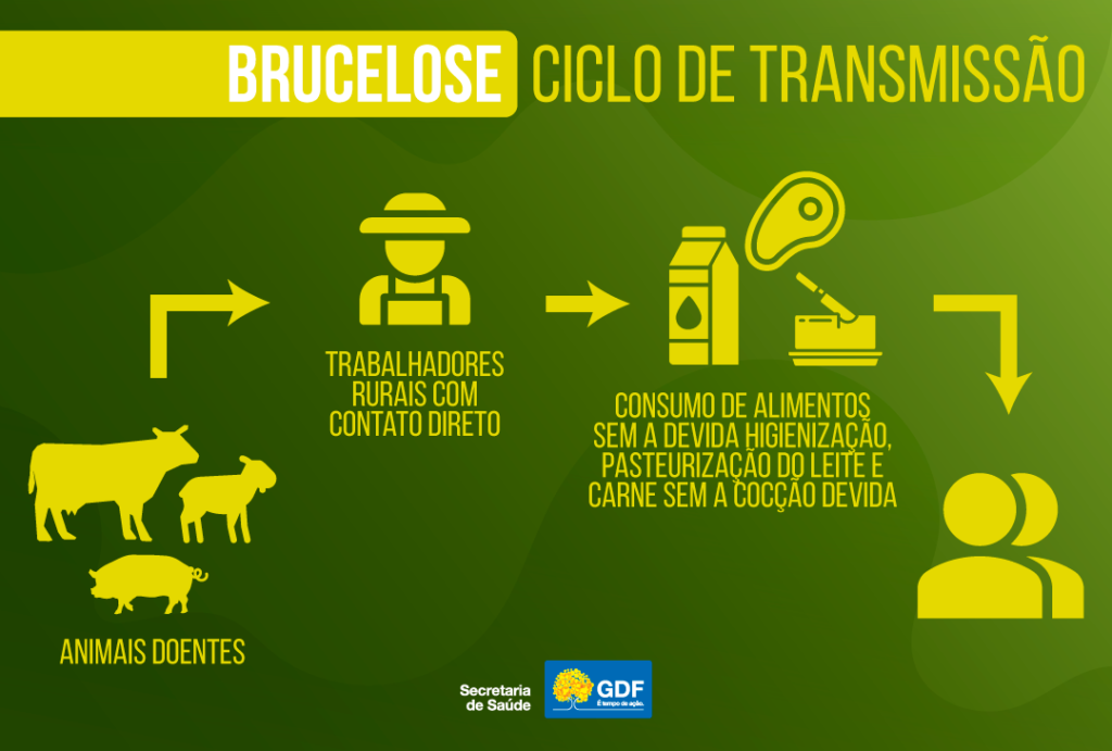 transmissão de brucelose para humanos