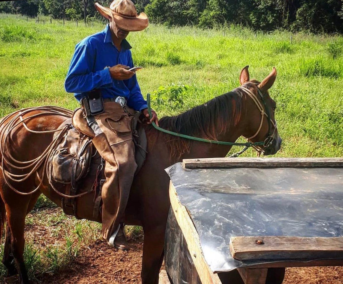 vaqueiro aferindo o cocho na fazenda