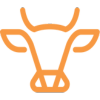 FarmTell™ Views_laranja-100
