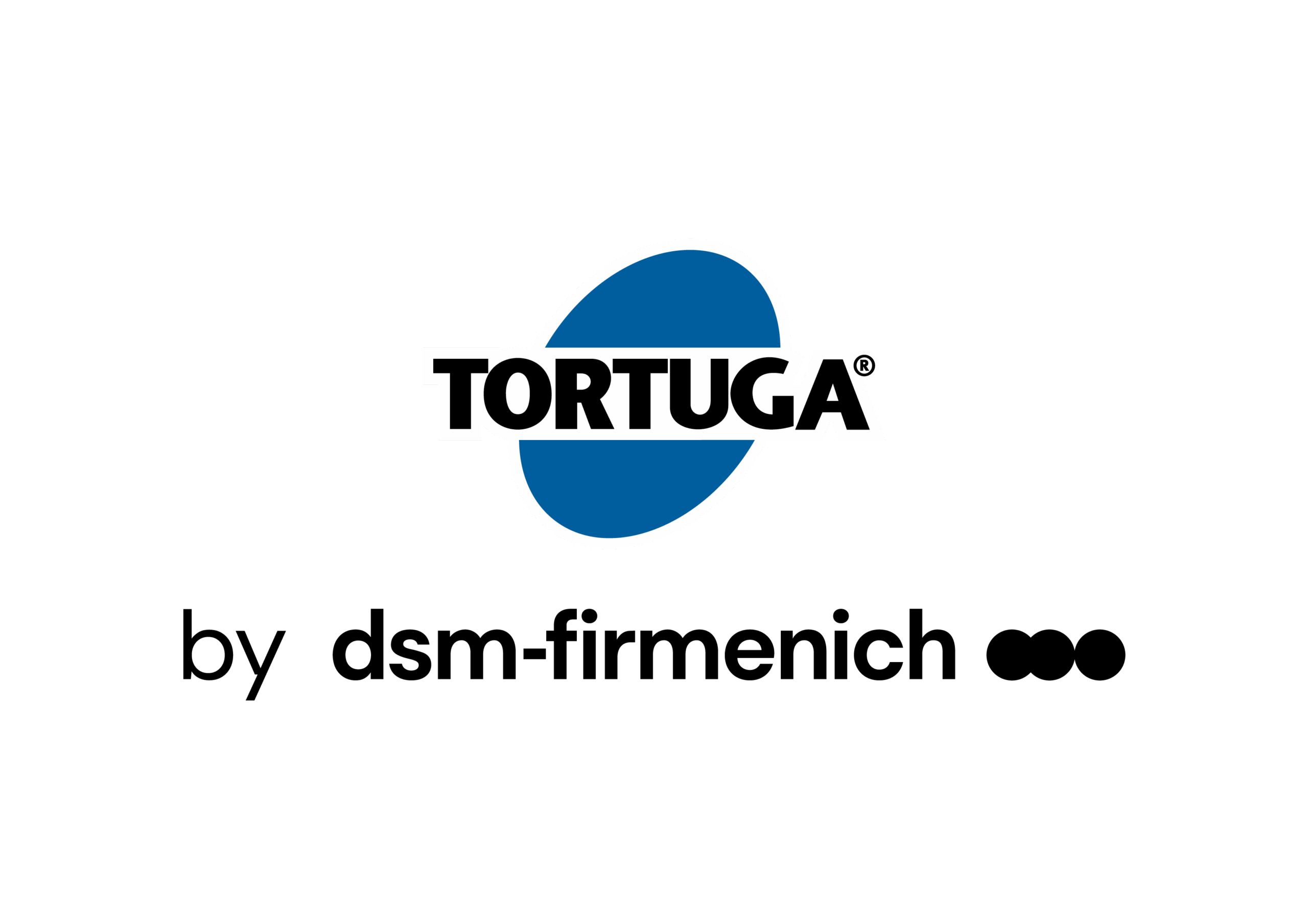 Tortuga DSM